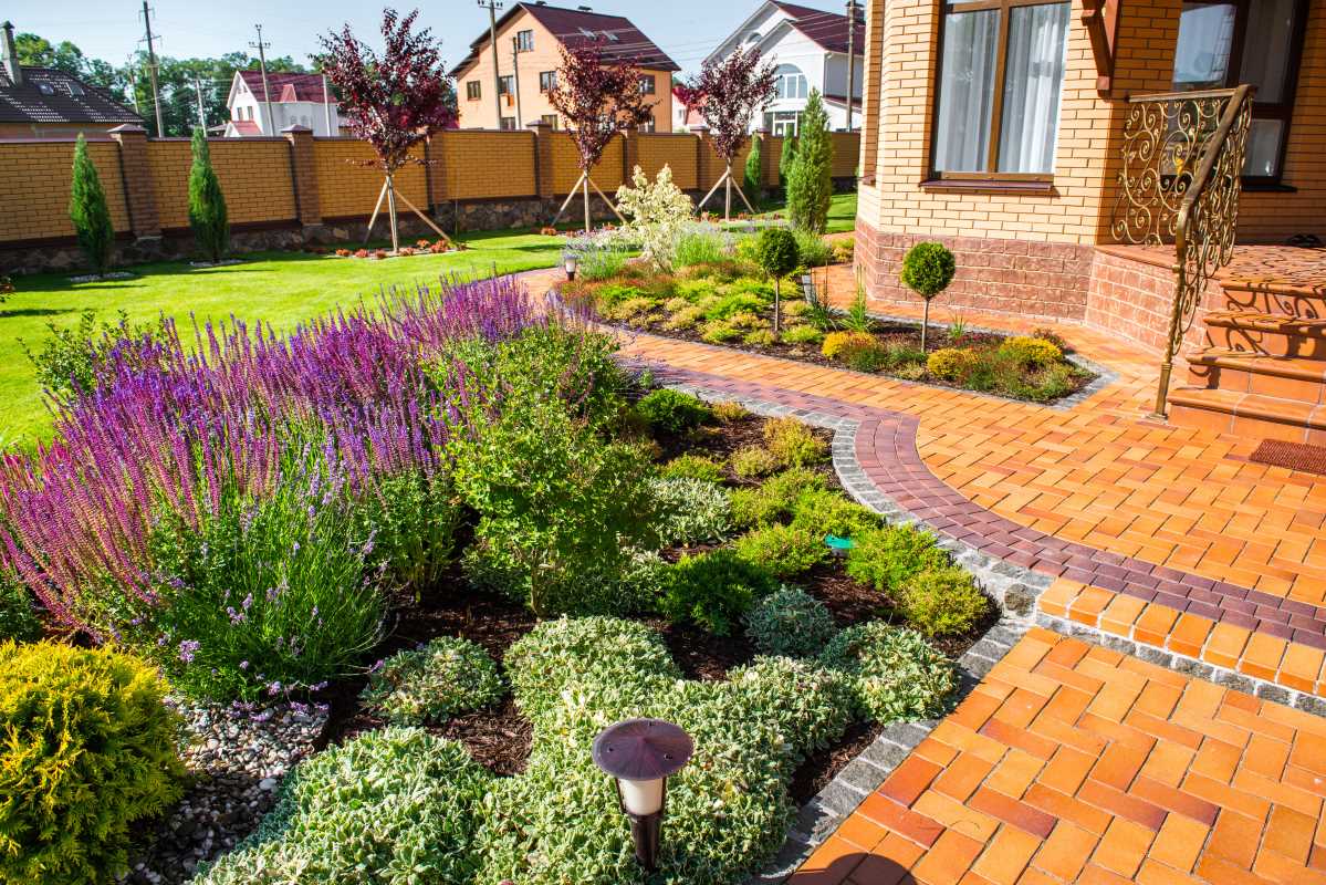 The Best Drought-Tolerant Plants for a Home in the South
