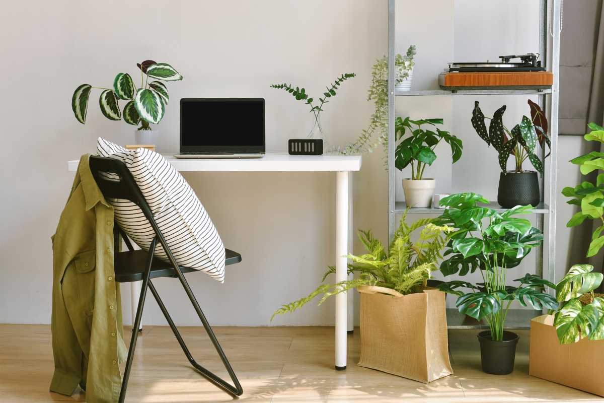 How to Bring Life to Bare Corners in Your New Home